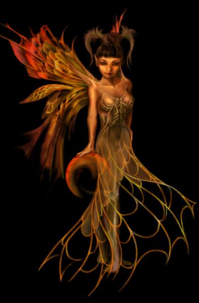 trop belle